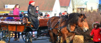 Julmarknad häst och vagn ardennerhäst Ville Tjolöholmsslott
