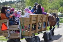 Rollett Häst och vagn Ardenner ViskadalensGårdsglass Veddige Varberg utflykt